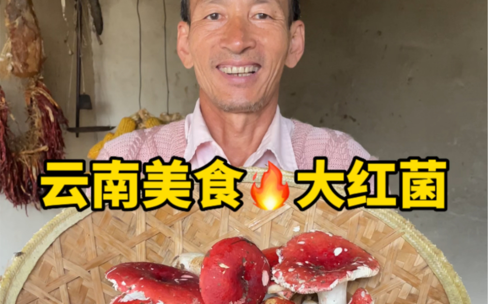 云南特色美食 大红菌!煮汤喝非常好喝!哔哩哔哩bilibili