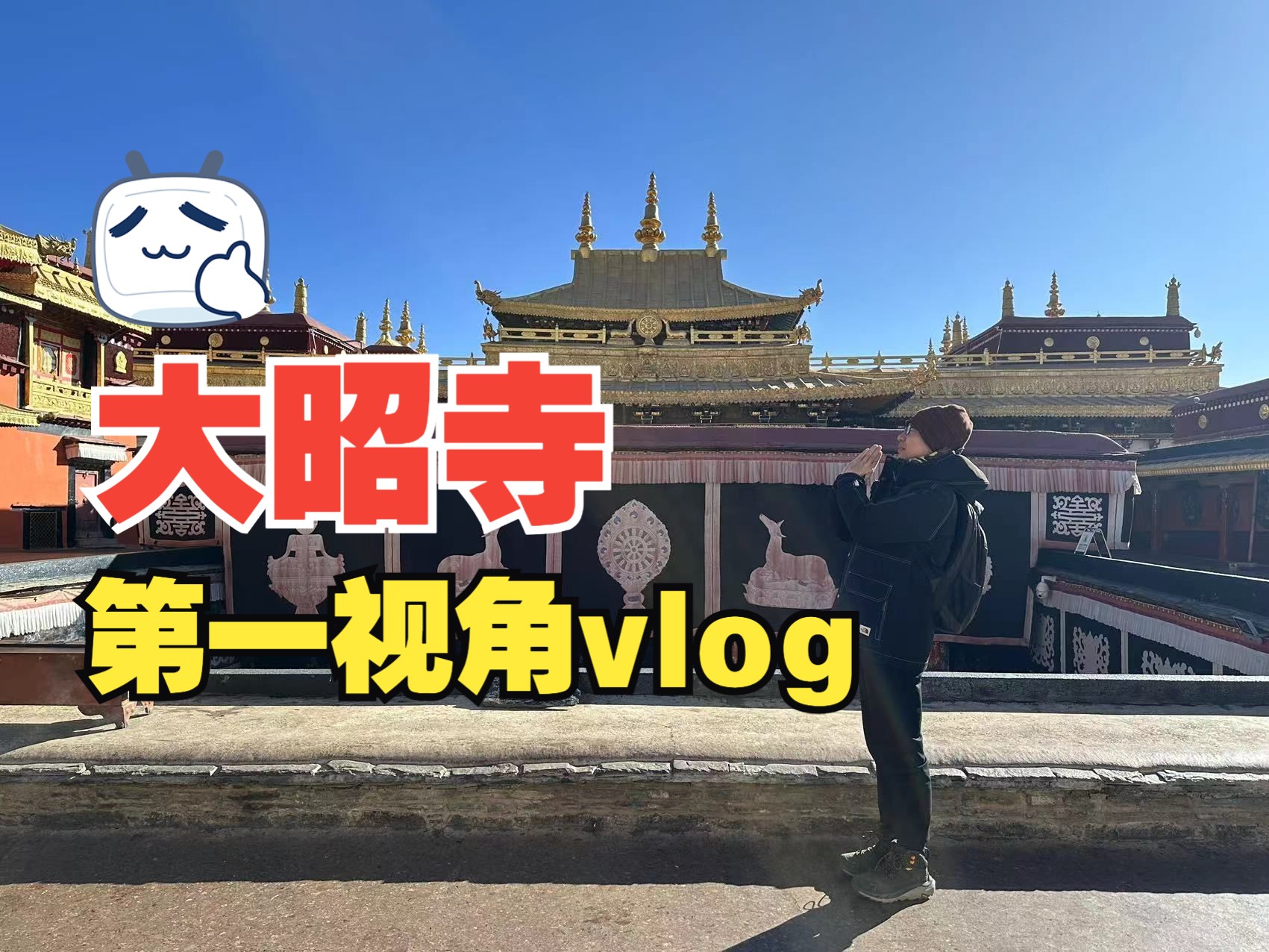 [图]大昭寺旅行第一视角全纪录