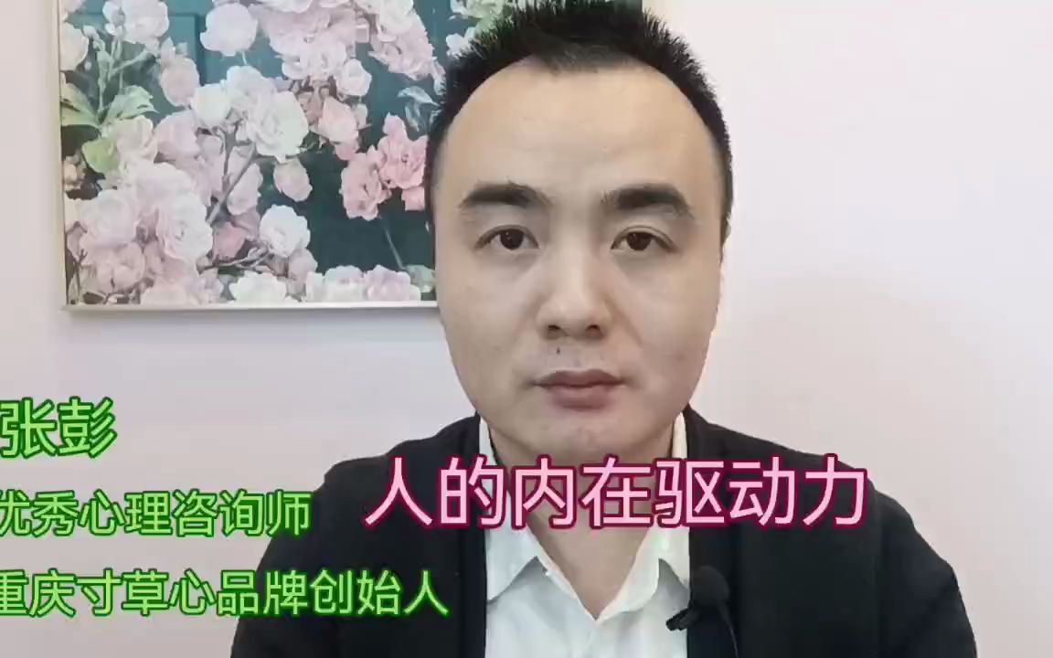 重庆EAP服务中心寸草心咨询师谈工作内在驱动力哔哩哔哩bilibili