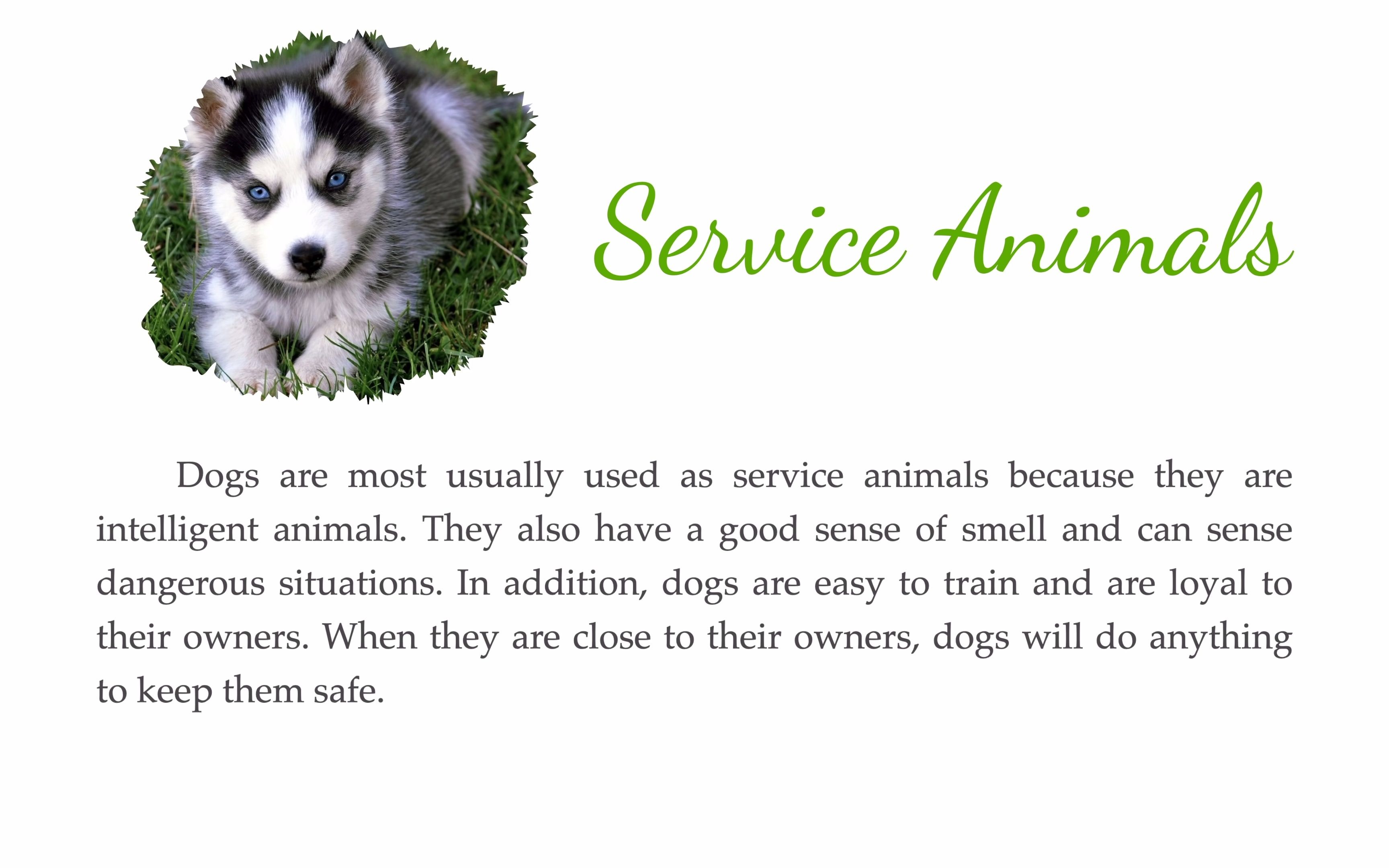 鉓4z炟殨猷 !聤莩]鏱*姿測┾櫓l