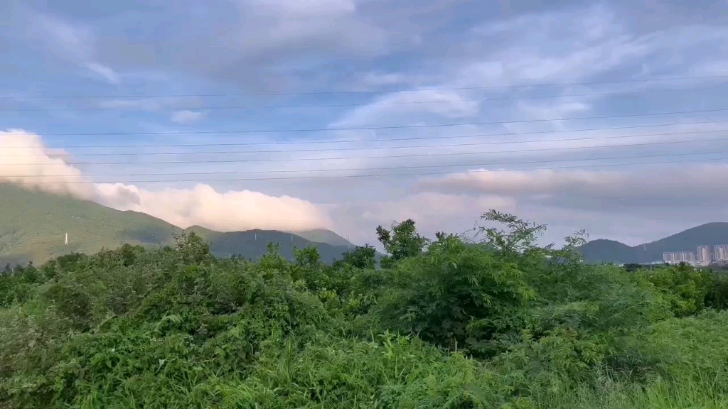 [图]我以清风为笔，写下山河岁月，见萤火虫在炎夏，见银杏叶在深秋落下。清闻墨，烟火味人间情浮现。