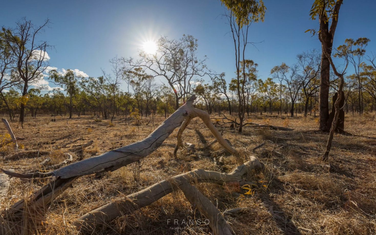 [8K视觉] 绝美澳大利亚时间的风景 Into The Nature Australia Timelapse哔哩哔哩bilibili