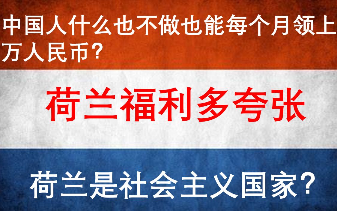 中国人在荷兰什么也不做也能月入上万?荷兰福利多夸张哔哩哔哩bilibili