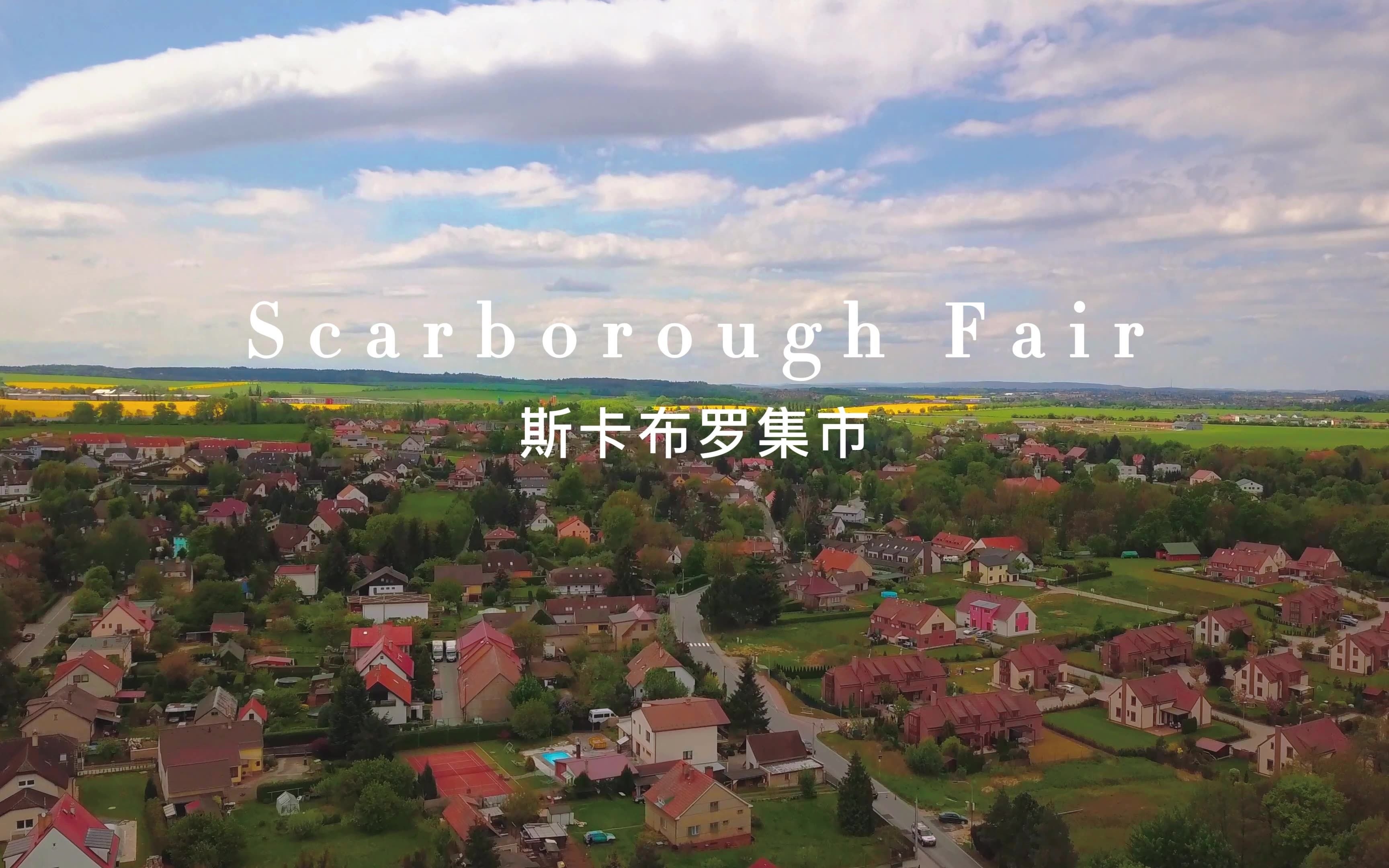 [图]经典民谣 斯卡布罗集市 Scarborough Fair 无损音质+4K