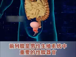 Download Video: 不可忽视！前列腺对男性健康的深远意义