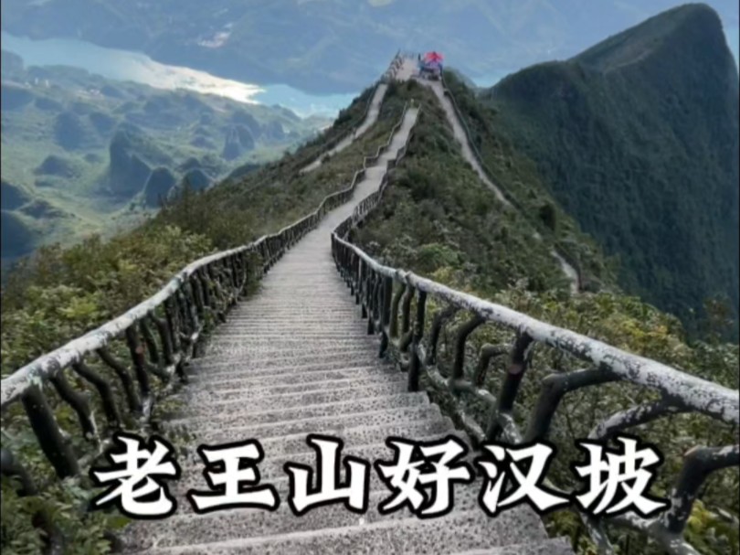 老王山好汉坡挺治嘴硬的#老王山 #旅游哔哩哔哩bilibili