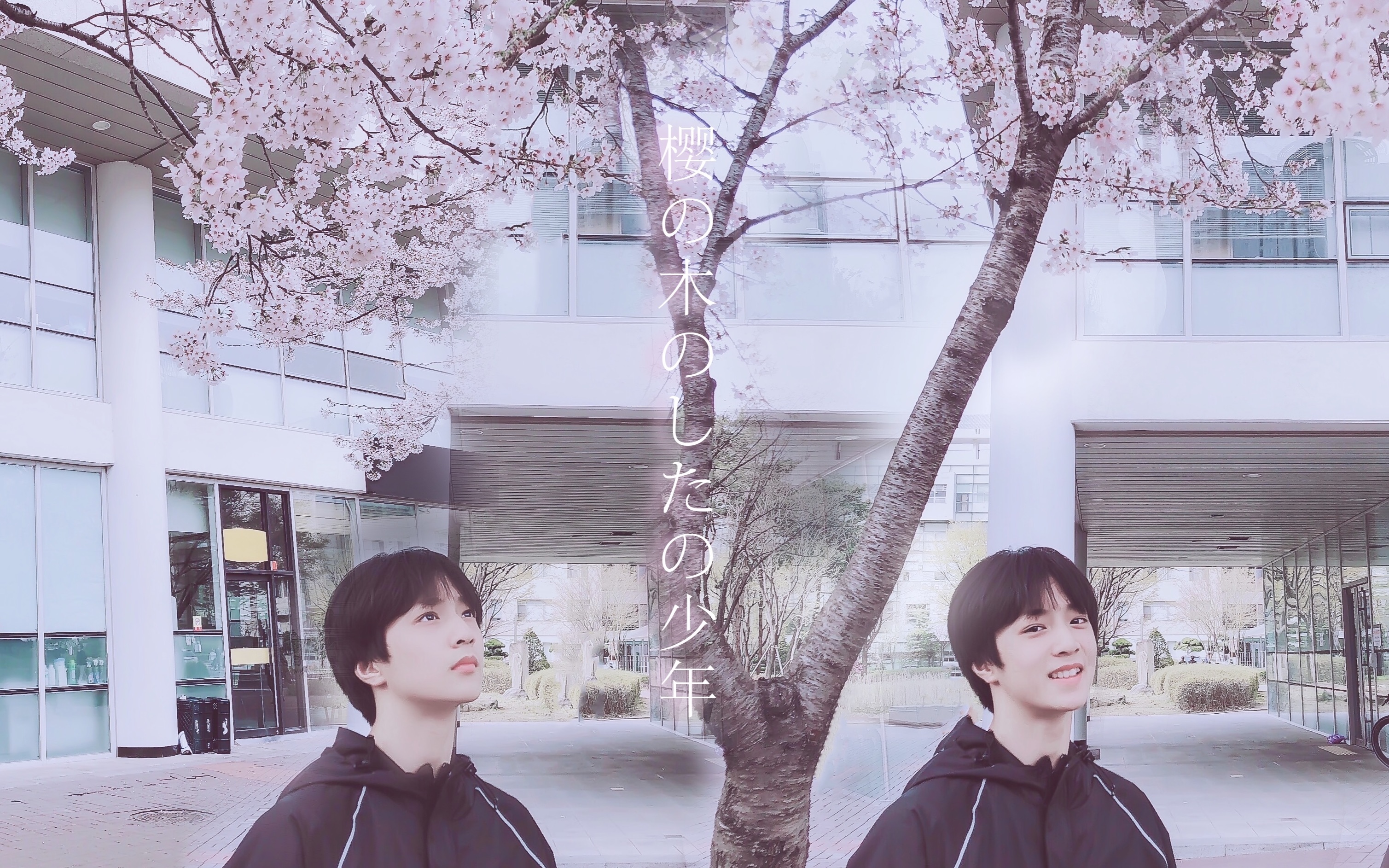 刘耀文all文向初雪融化樱花盛开最想见到的人是你