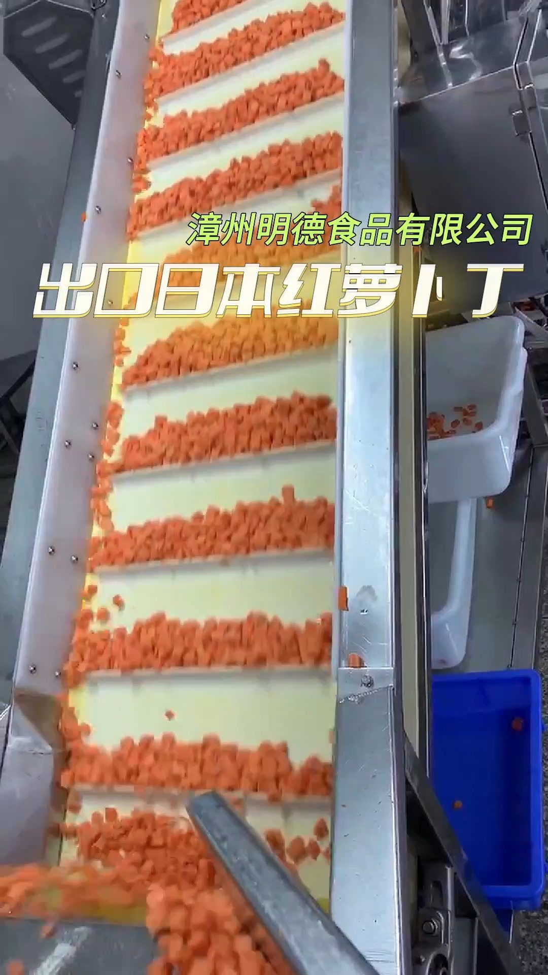 明德食品#福建胡萝卜丁厂家#漳州胡萝卜丁厂家#龙海胡萝卜丁厂家#胡萝卜丁厂家哔哩哔哩bilibili