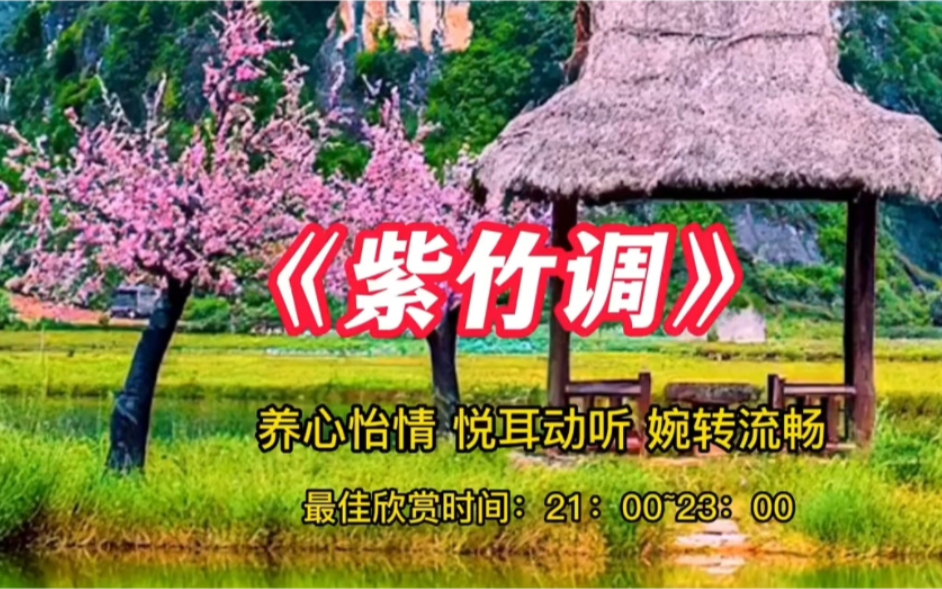 [图]五行养生乐 养心最佳曲目《紫竹调》养心怡情 悦耳动听  宛转悠扬