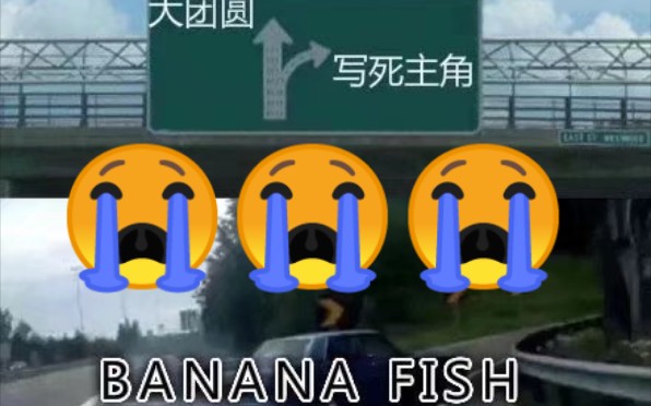 [图]【banana fish/战栗杀机】“祝 你 自 由”