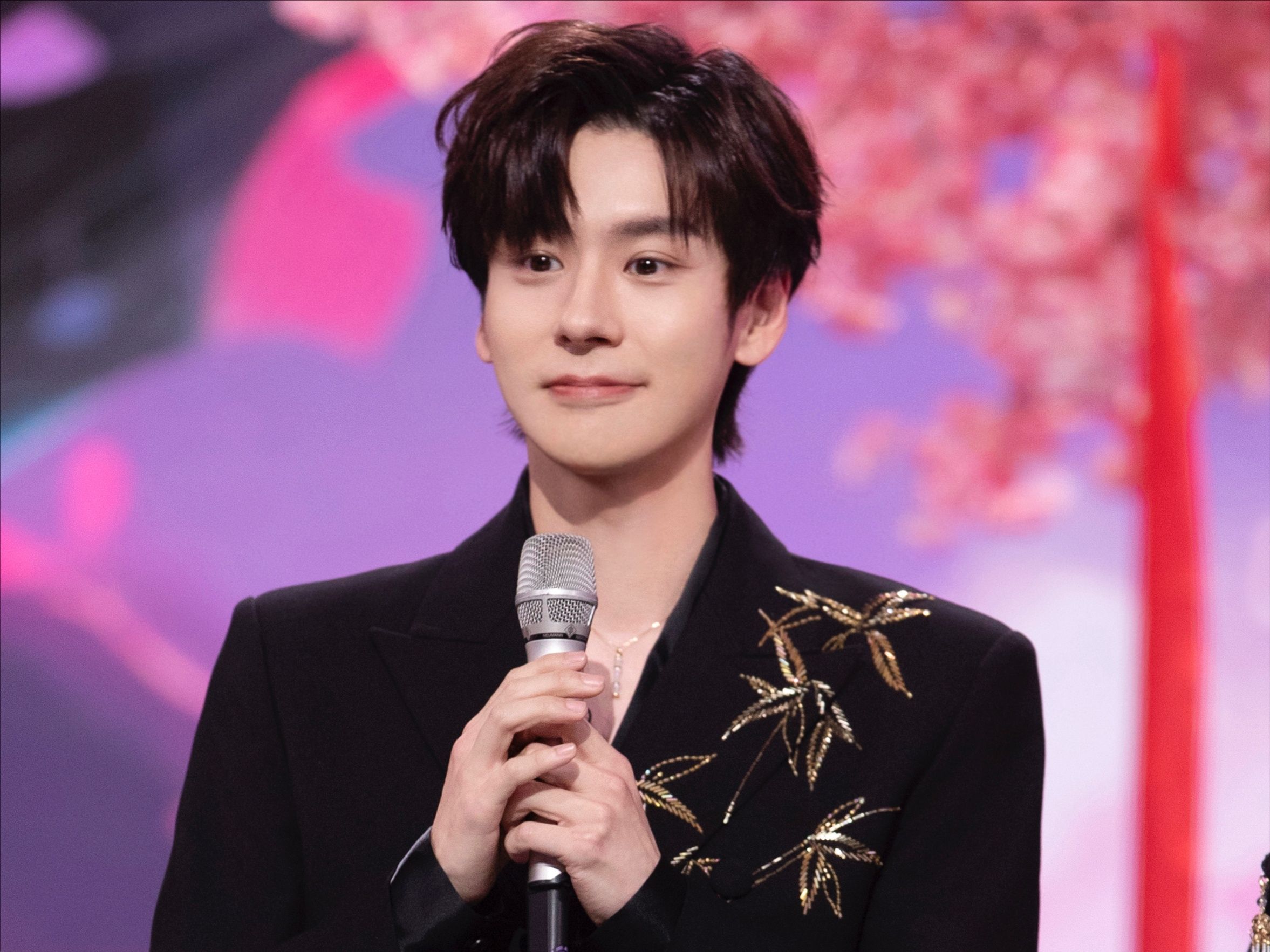 魏哲鸣2024年主演的电视剧 你看过几部