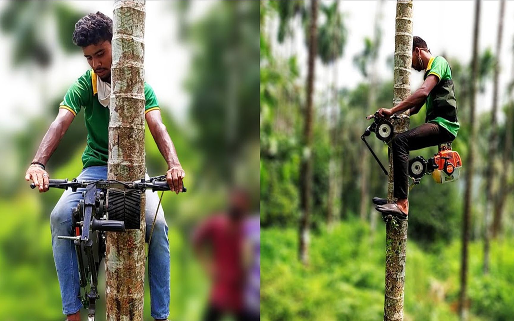 印度打造椰子爬树机,5秒爬树20米,坐着就能轻松上树