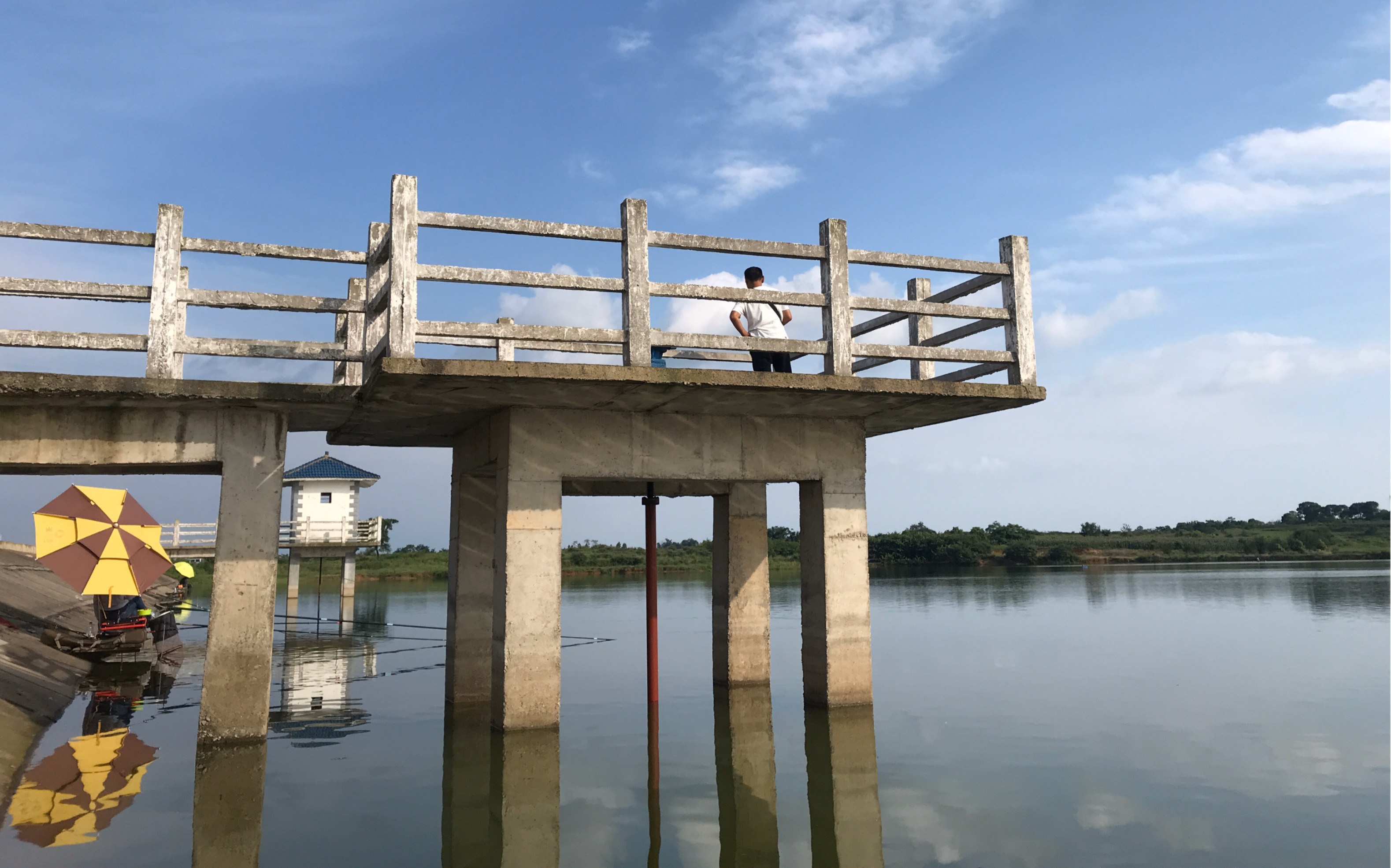 雨过天晴,钓到的都是小鱼,这样的环境中钓鱼空军也值得了