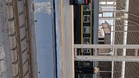 春运拍车】大连站g80508站台停车,偶遇2061,后方露出老旧车底的k7511