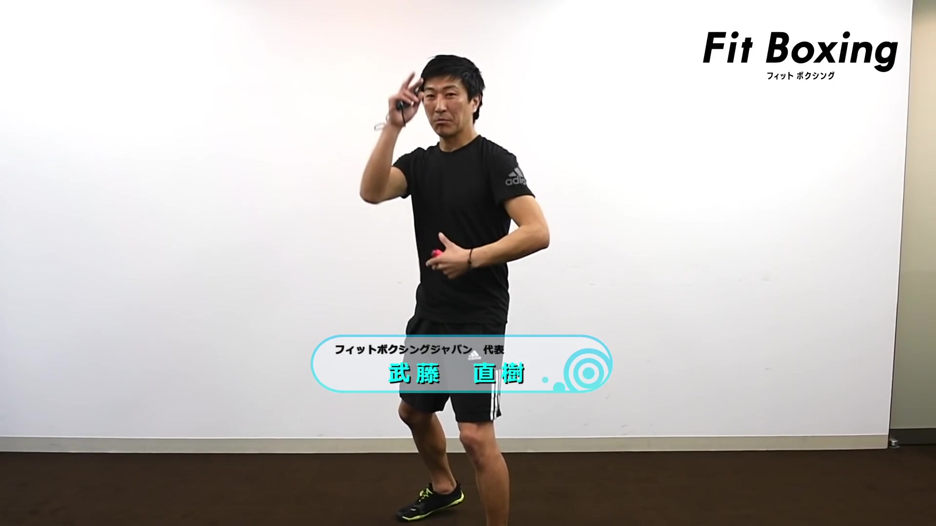 [图]有氧拳击 Fitness Boxing 官方动作指导（无字幕）