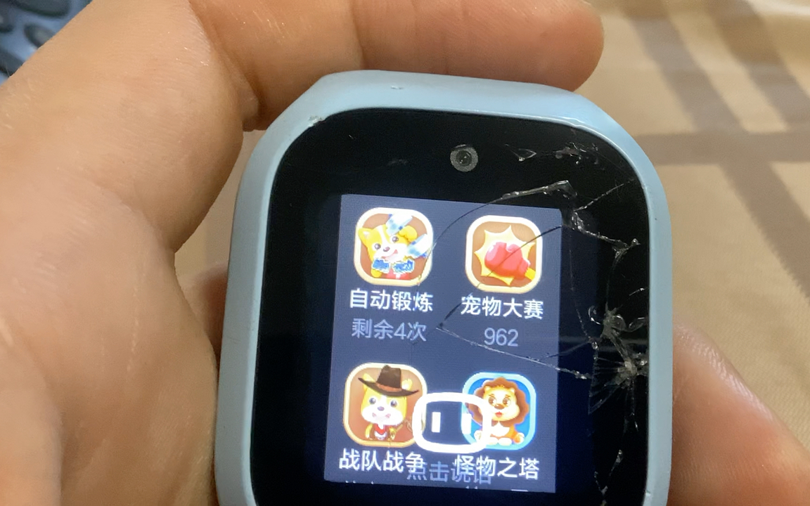 宠物天才:今天的日常