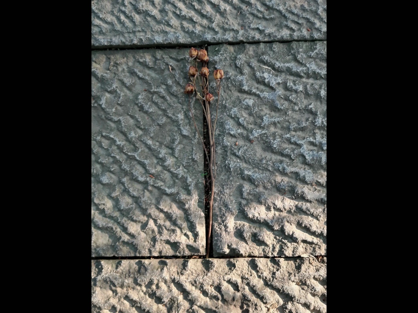 [be-on]天地一囚笼