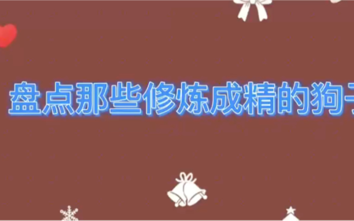 [图]盘点那些修炼成精的狗子，说出来你可能不信，狗能用打狗棍打狗