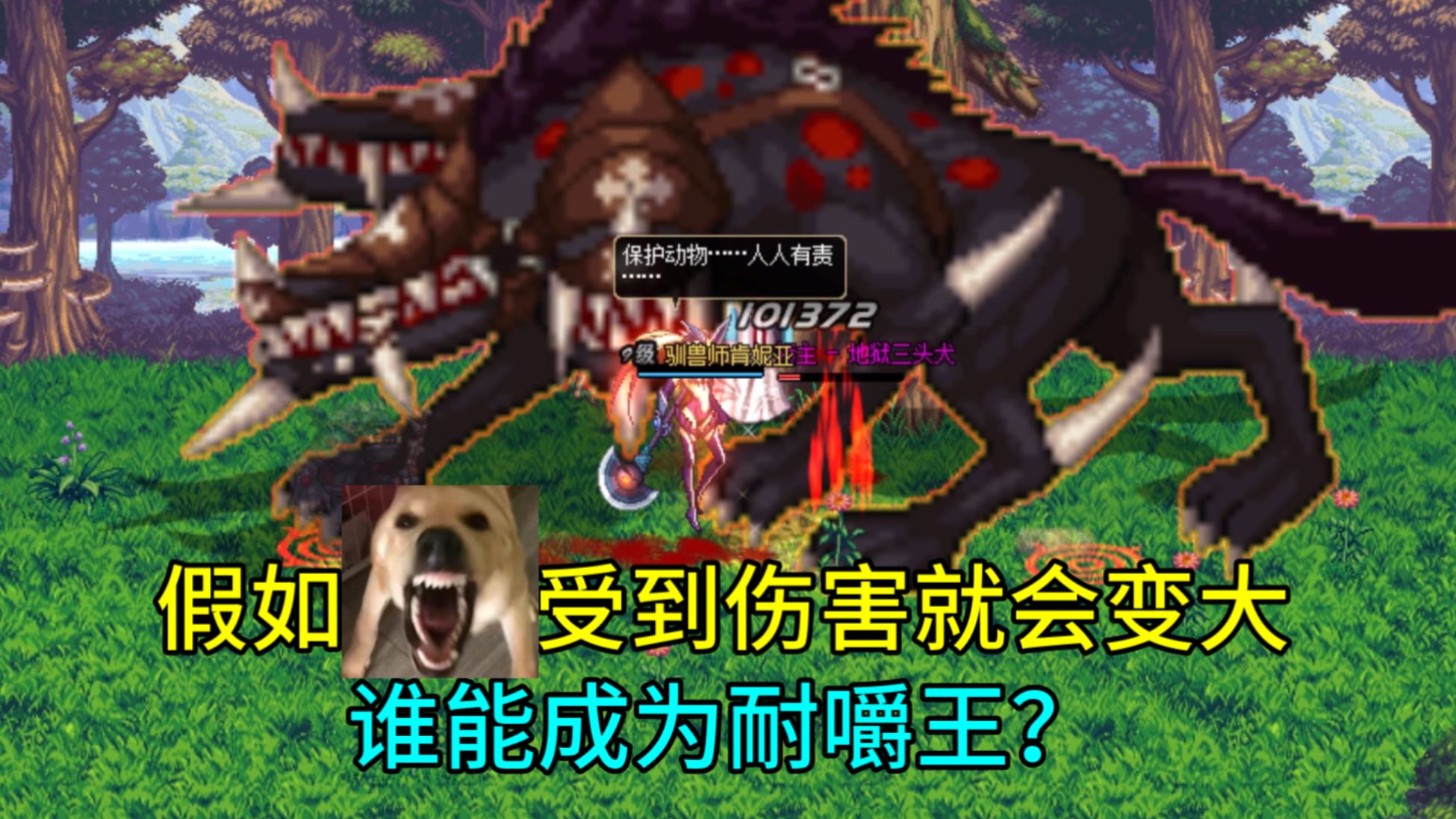 【DNF斗蛐蛐】假如大狗受到伤害就会变大，谁能成为耐嚼王？