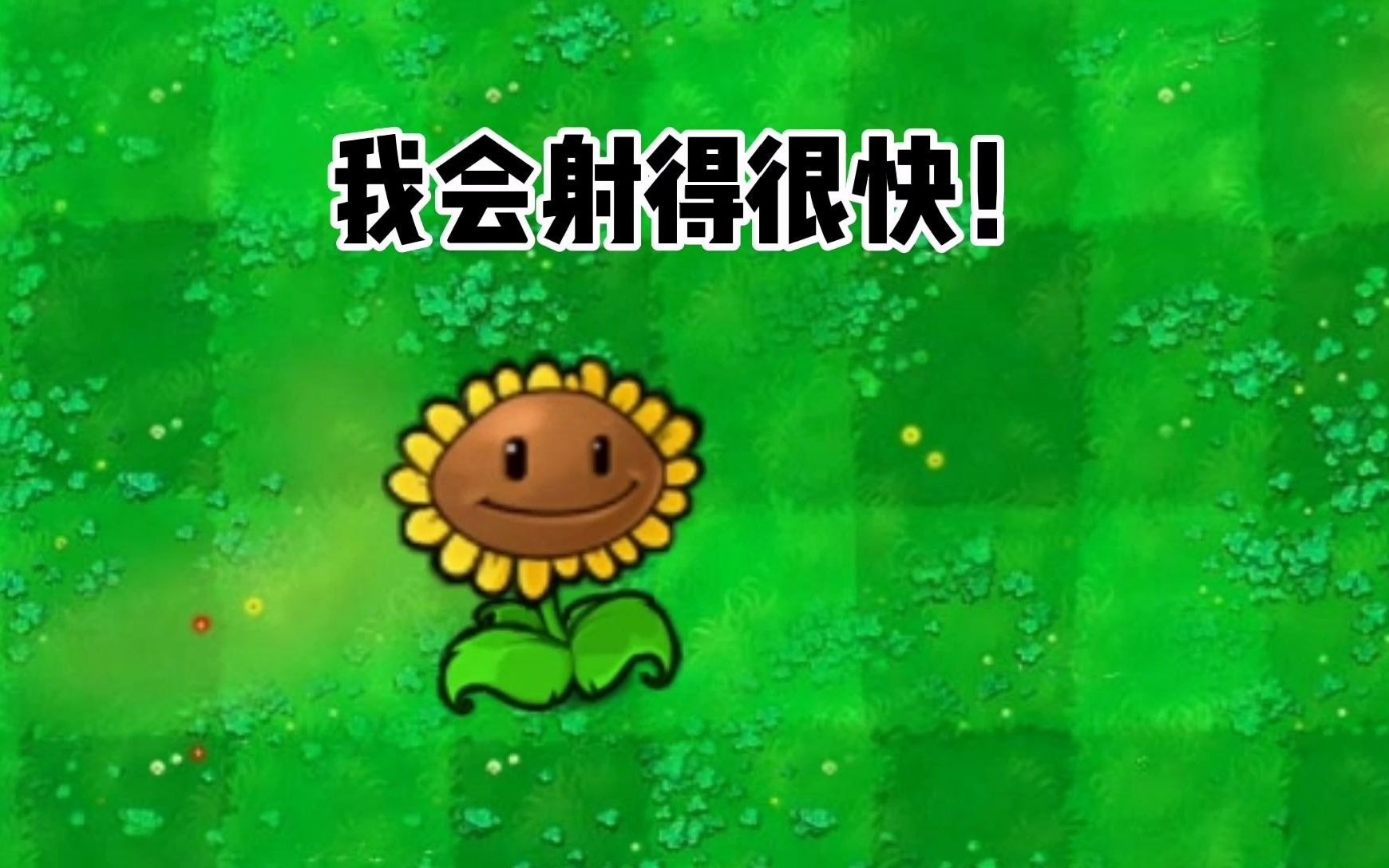 植物大战僵尸:当太阳花吃了10包金坷垃,会怎样呢?