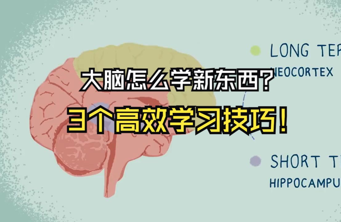 TED短片 | 基于大脑学习机制,3个适合所有人的学习技巧!哔哩哔哩bilibili