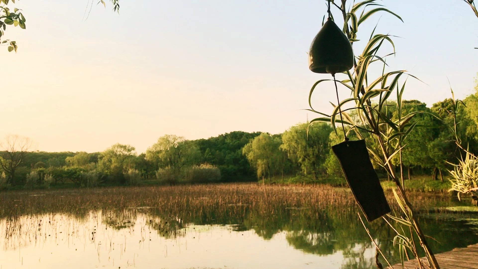 风铃响朝暮牧场发呆放空