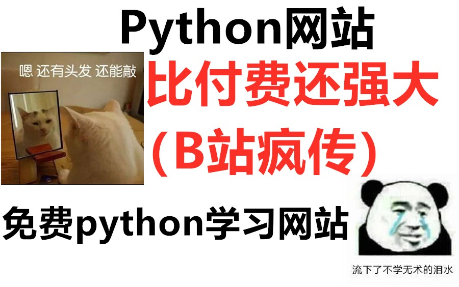 Python网站比付费还强大的几个免费python学习网站(B站疯传)哔哩哔哩bilibili