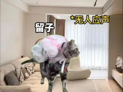 Descargar video: 留学生的父母不要太荒谬啊！【猫meme】第三集