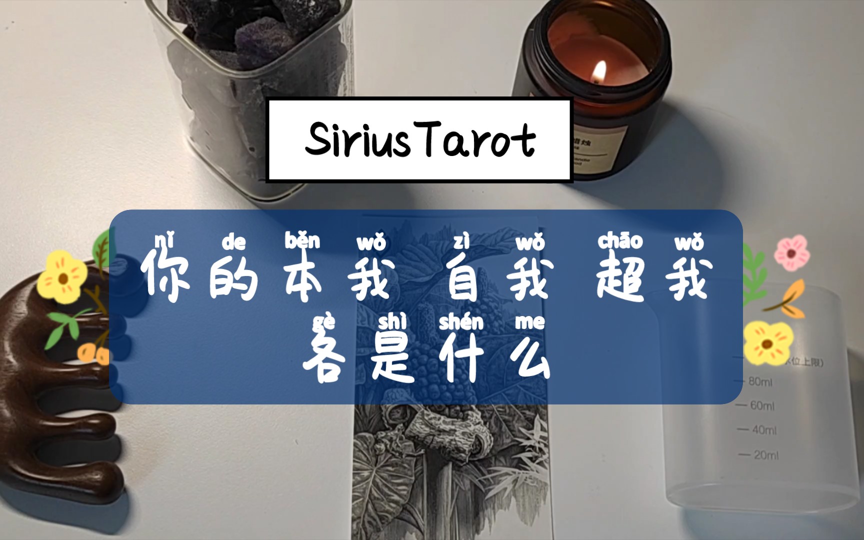 【SiriusTarot】认识自己系列你的本我自我超我各是什么哔哩哔哩bilibili