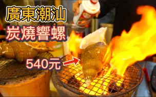 Download Video: 广东潮汕顶级海鲜，540元一只炭烧响螺，30年老菜脯粥，真的好吃吗？