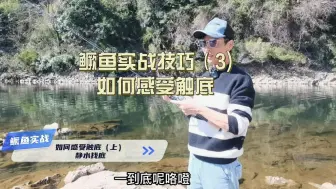 Download Video: 鳜鱼实战技巧3钓鳜鱼的时候如何感受铅头钩触底（上）