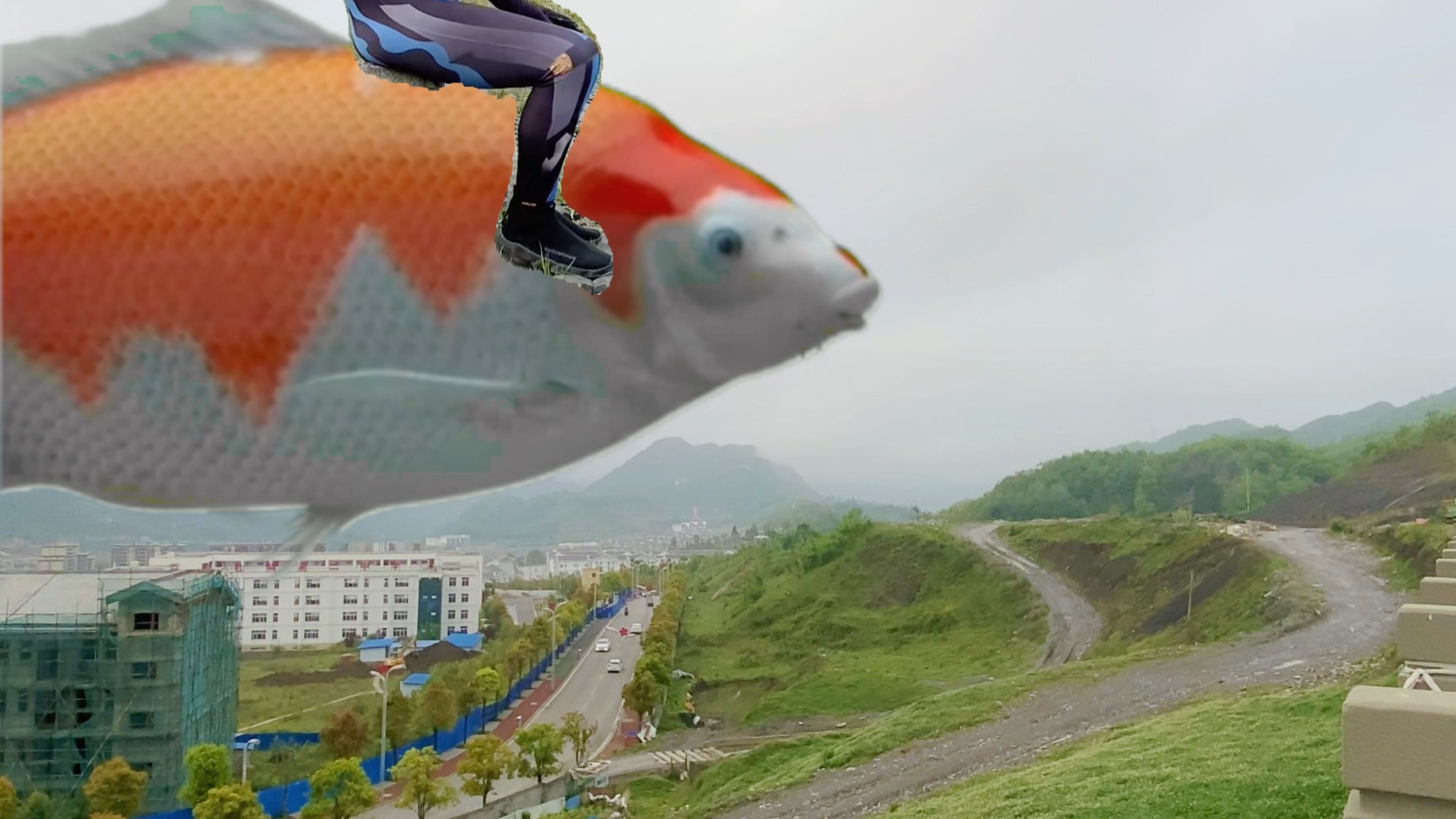 托雷基亚哥哥骑鱼