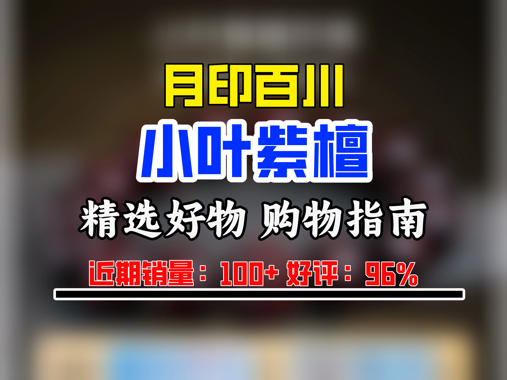 月印百川 高密印度小叶紫檀手串配貔貅男女款文玩佛珠手链约15mm哔哩哔哩bilibili