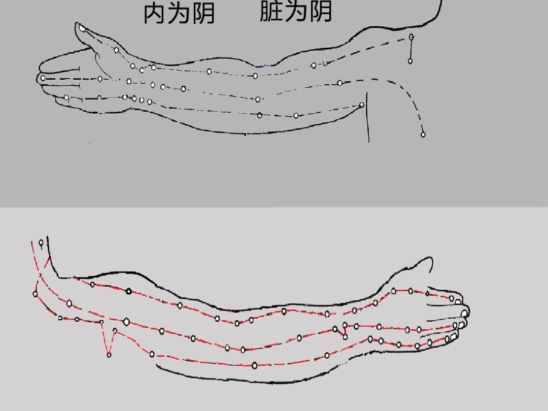 [图]三分钟推演疏理十二经脉走向