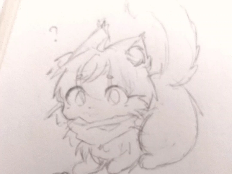 这种呆傻的修猫长的都一样