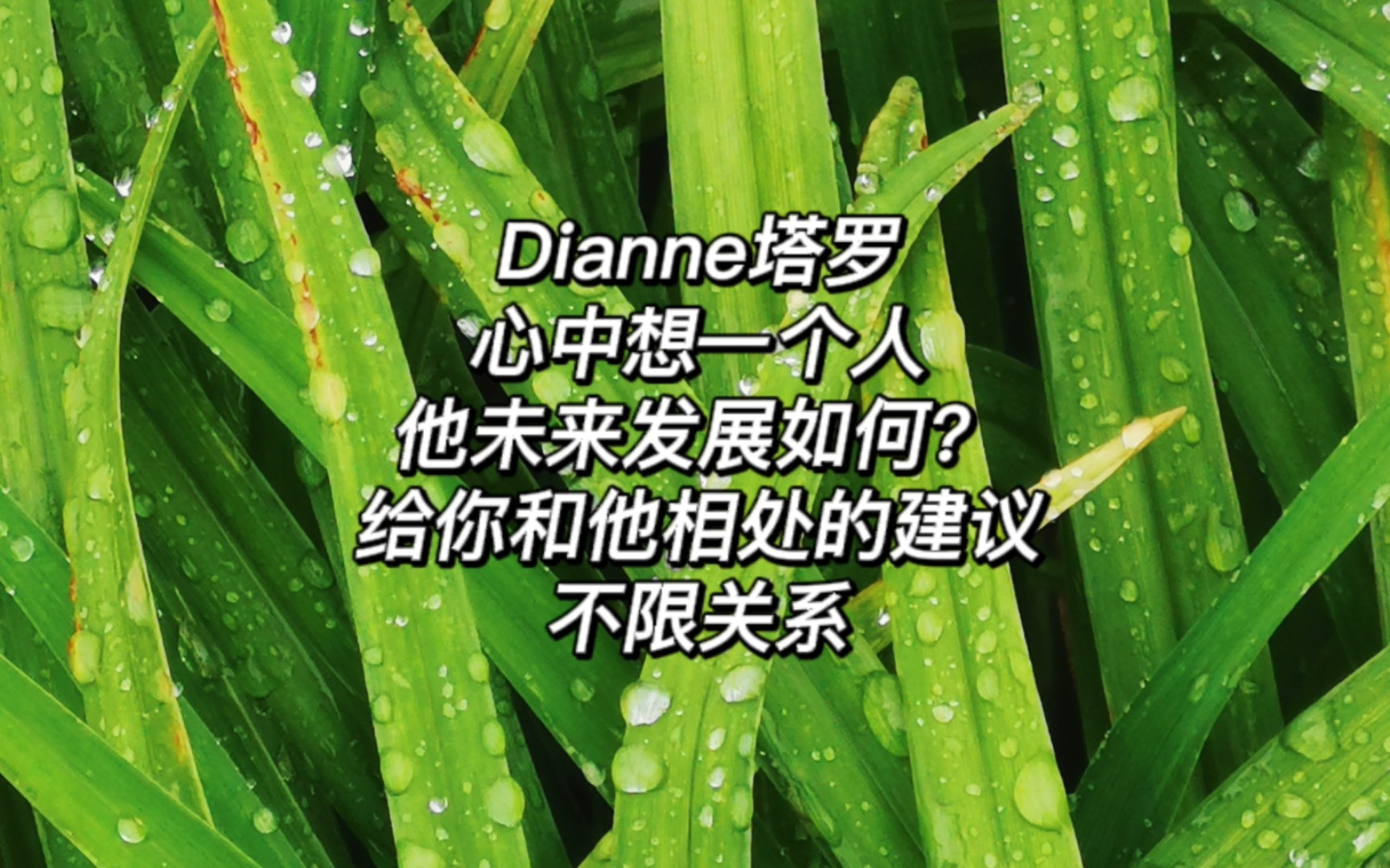 [图]【Dianne塔罗】心中想一个人，他未来过得怎么样，给你的建议，不限关系，仅供娱乐请勿轻信