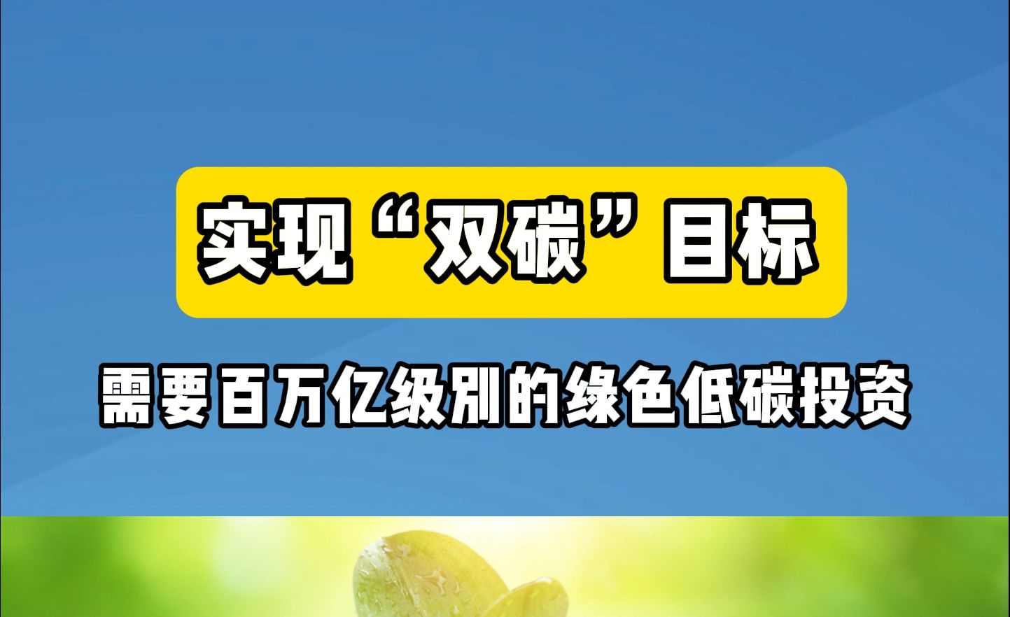 12月4日 双碳速递