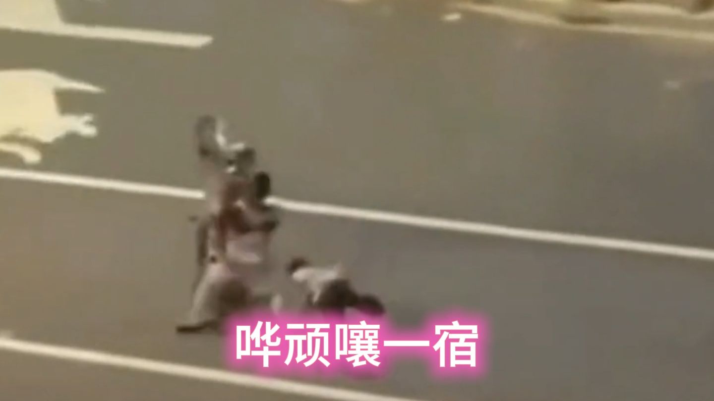 吹梦到西洲（✕）追梦到哦豁（✓）