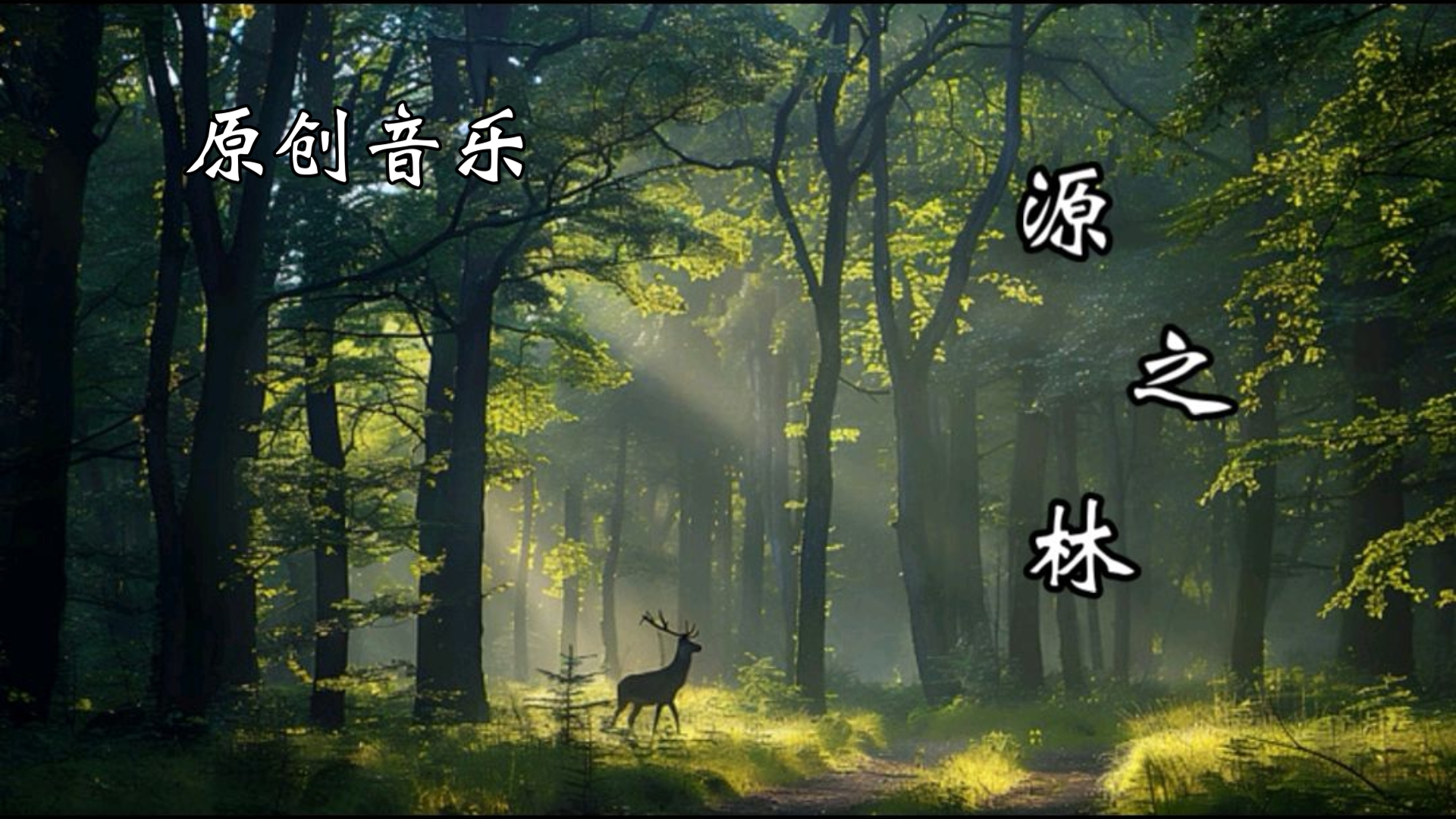 原创音乐|源之林 “在那个地方,有一片生生不息的林海”哔哩哔哩bilibili