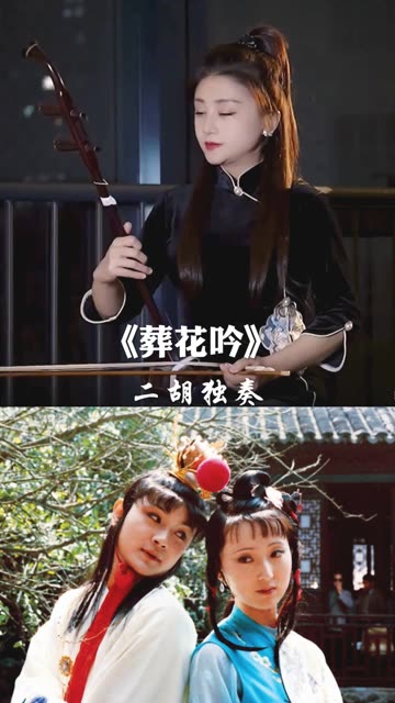 歌曲葬花吟(歌曲葬花吟原唱陈力)