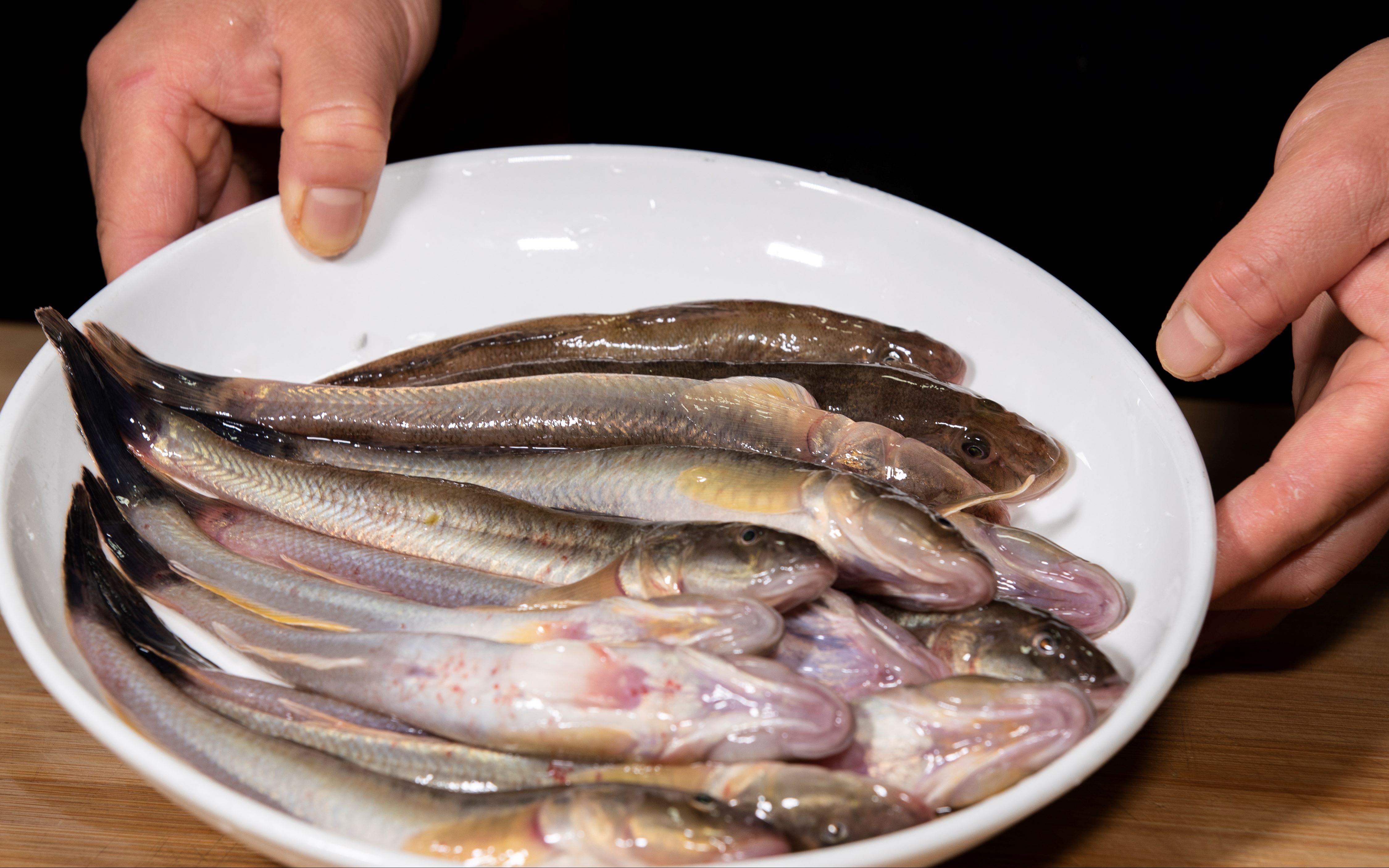 红烧海泥鱼海边人的家常菜,这样做海鲜特简单也很入味,下酒特棒