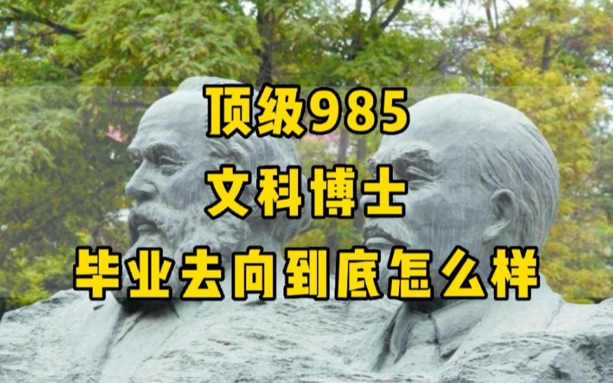 顶级985的文科博士,毕业去向到底怎么样?华五院校,马理论博士,毕业去向和现状哔哩哔哩bilibili