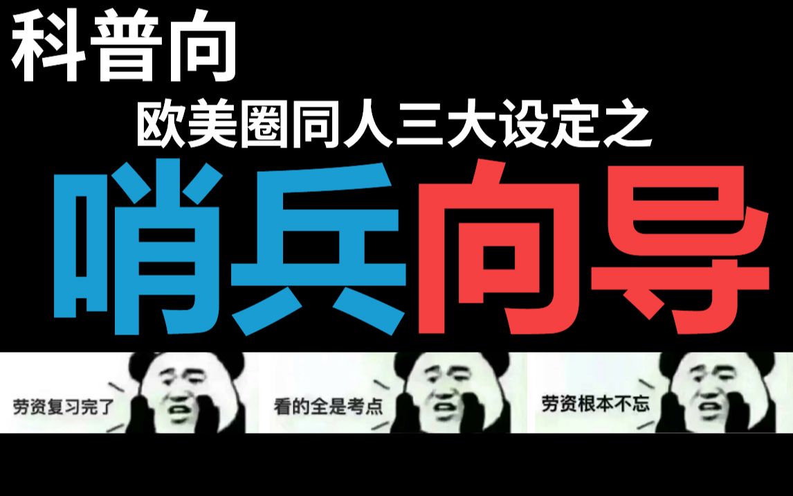 【半碗】欧美圈同人三大设定之哨兵向导!强强组合值得拥有!哔哩哔哩bilibili