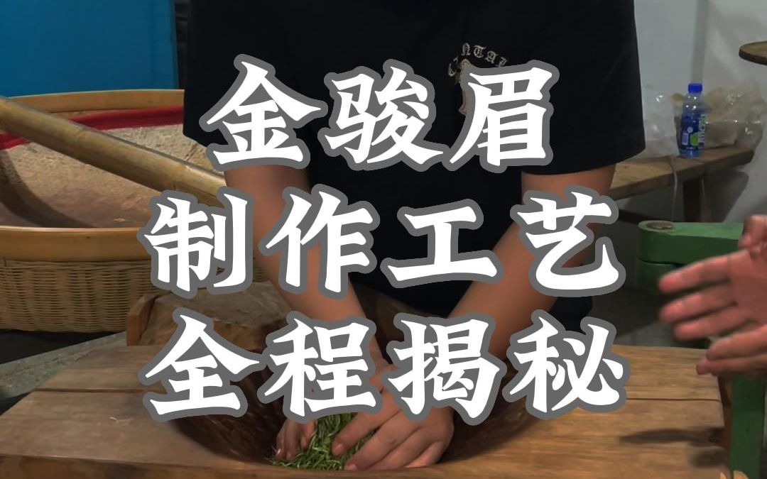 桐木村采茶金骏眉制作工艺大揭秘,学会了自己做着喝!哔哩哔哩bilibili