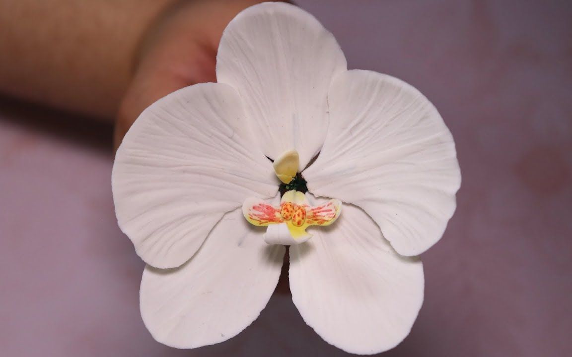 【dulce c.】如何制作超轻粘土/翻糖蝴蝶兰