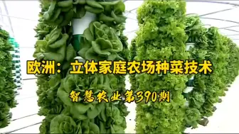 Download Video: 欧洲：家庭立体农场种植技术