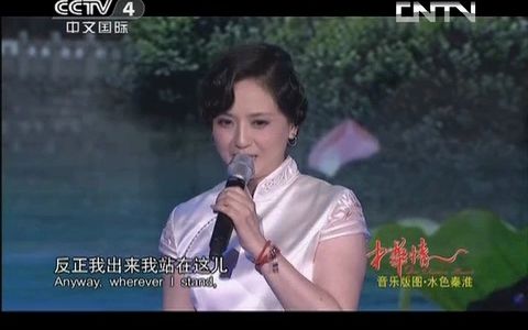 [图]【陶慧敏】《中华情》20130907歌曲《紫竹调》&《枉凝眉》