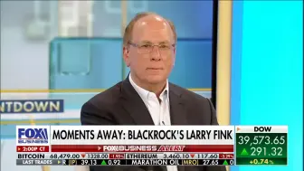 下载视频: 贝莱德（BlackRock）CEO 芬克（Larry Fink）: 这是当今世界的一场危机