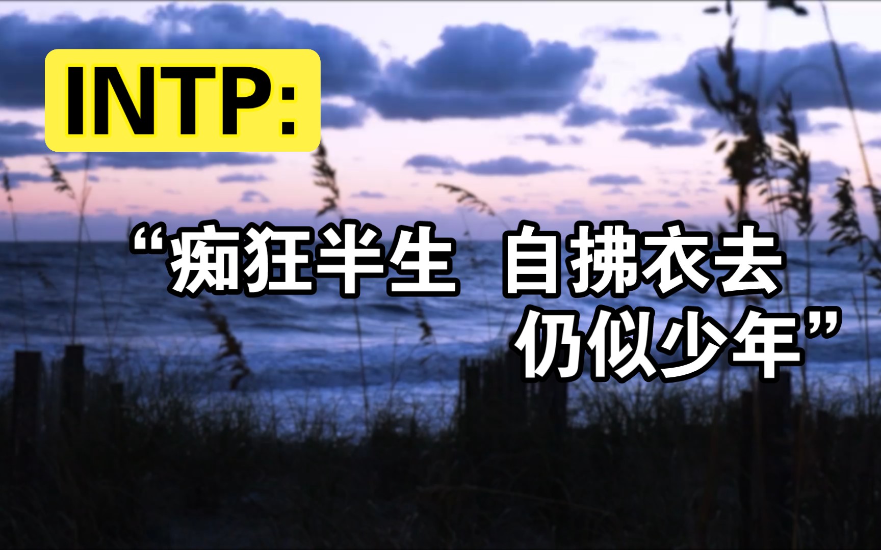 【INTP备忘录】草原,海浪,沙哔哩哔哩bilibili