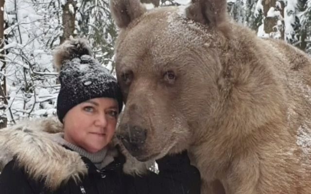 【熊】妈妈亲亲斯捷潘_哔哩哔哩_bilibili